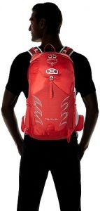 Osprey Talon 22 Model