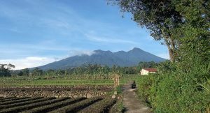 Mt Salak